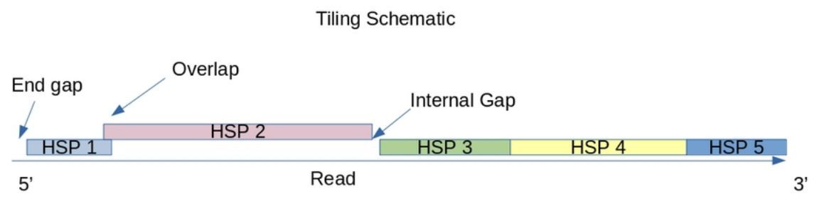 jsantoyo's tweet image. The Tiling Algorithm - A general method for structural characterization of accurate long DNA sequence reads: application to AAV genome sequences. #StructuralVariants #LongRead #DNAsequencing #AAV #Genomics #Bioinformatics @biorxiv_bioinfo 
biorxiv.org/content/10.110…