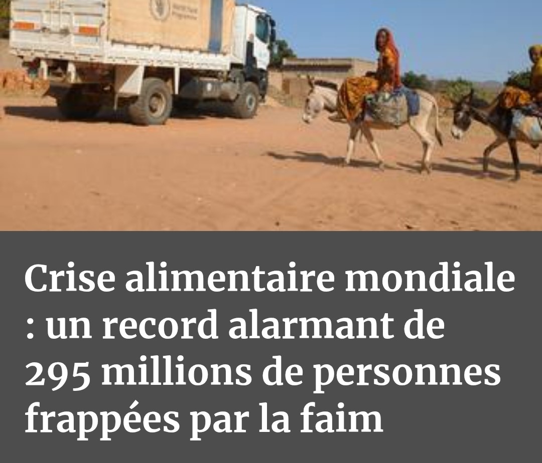 Femmes_Dem's tweet image. La #Faim dans le monde : l’essentiel
🔹 295M en insécurité alimentaire
🔹 9M morts/an, dont 3,1M enfants &amp;lt;5 ans
🔹 733M sous-alimentés d’ici 2025
🔹 Famine : Éthiopie, Yémen, Soudan, Mali, Haïti, Gaza
🔹 🇫🇷 8M aidés par l’aide alimentaire

👉 Un combat humain 🌍, pas politique.