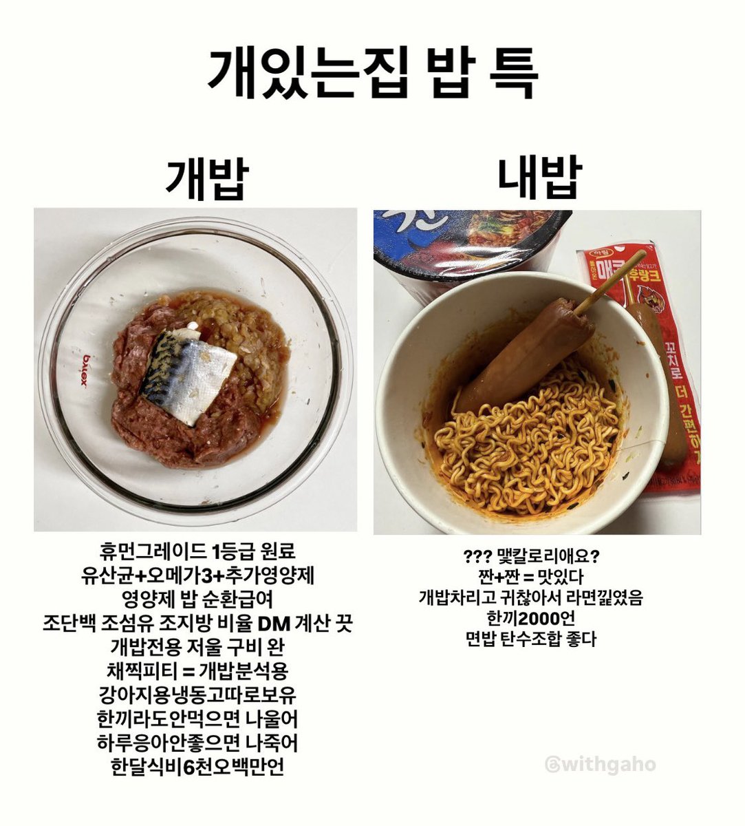 인간은고속노화해