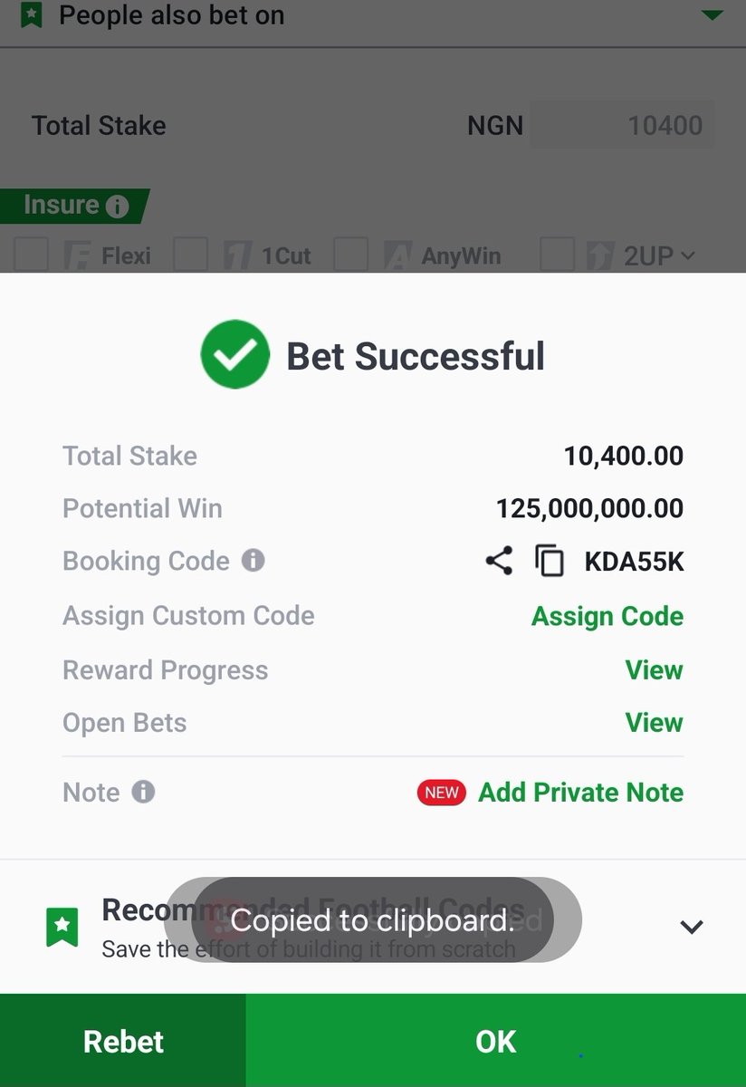 HumanMech's tweet image. KDA55K

New month...New blessings

Edit and boom

@bookiesnitmare @Davidbanksz @Mrbankstips