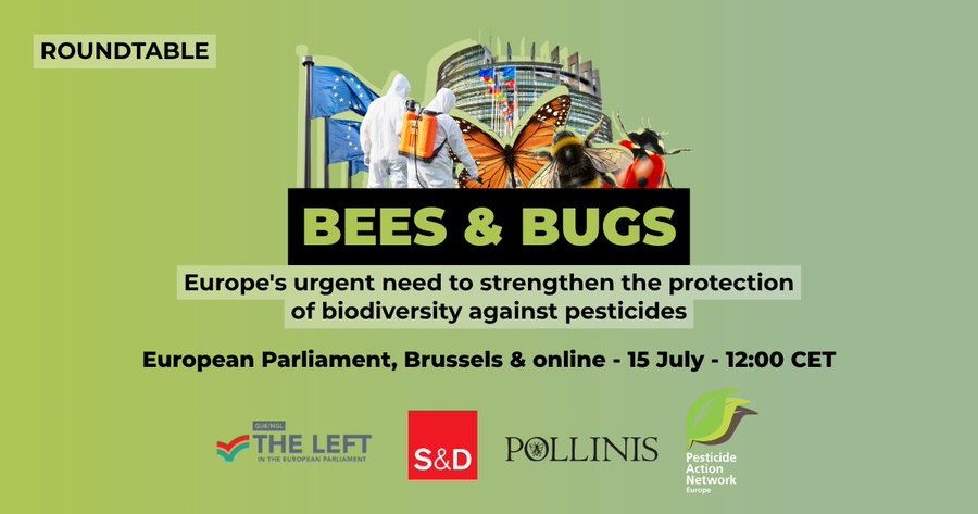 PAN Europe (@europepan) on Twitter photo 🐝🪲🐞 The EU is hardly protecting #bees and bugs. This was highlighted during our latest conference co-oganised by PAN Europe and <a href="/AssoPollinis/">POLLINIS</a> and hosted by the MEPs <a href="/cesarluena/">César Luena / ❤️🇪🇺</a> (S&D) and Sebastian Everding <a href="/Left_EU/">The Left in the European Parliament</a>.
pan-europe.info/blog/european-… 🐝🪲🐞 The EU is hardly protecting #bees and bugs. This was highlighted during our latest conference co-oganised by PAN Europe and <a href="/AssoPollinis/">POLLINIS</a> and hosted by the MEPs <a href="/cesarluena/">César Luena / ❤️🇪🇺</a> (S&D) and Sebastian Everding <a href="/Left_EU/">The Left in the European Parliament</a>.
pan-europe.info/blog/european-…