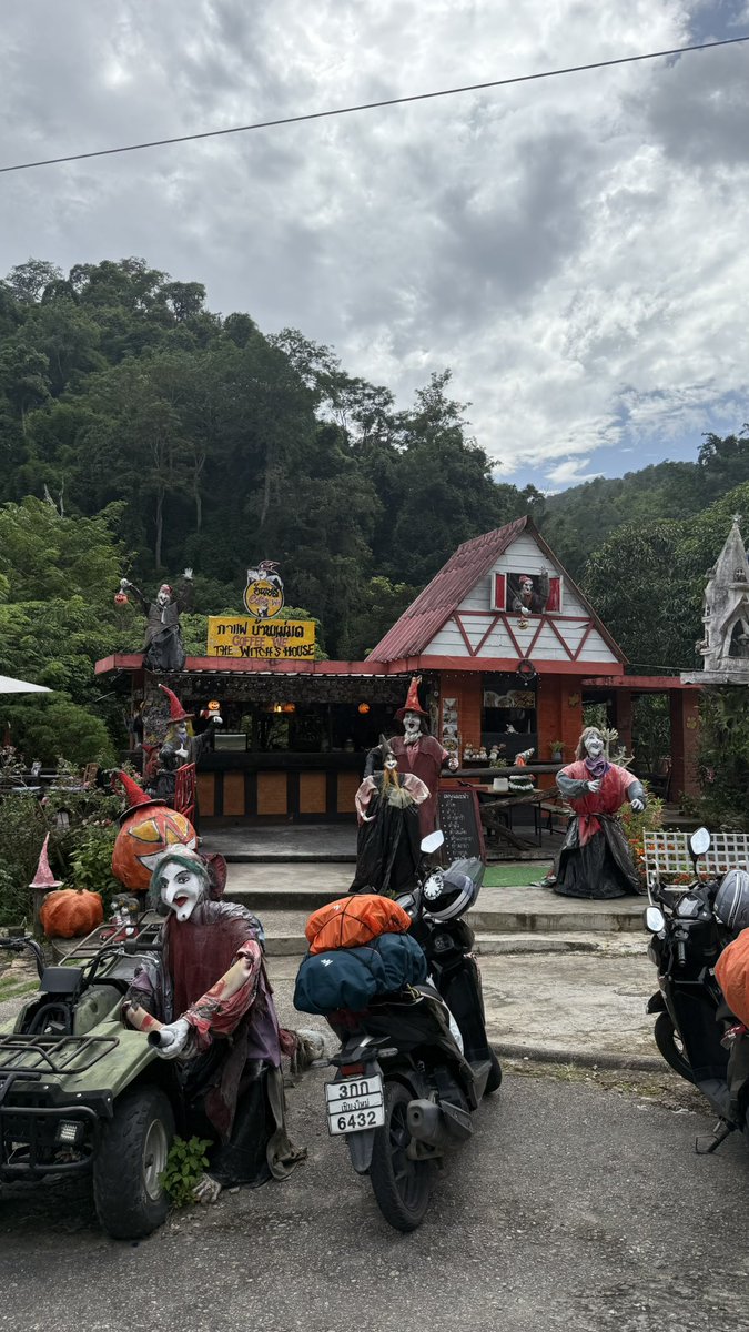 mydeadtoday's tweet photo. chiang mai- pai arası bir dinlenme tesisi https://t.co/JsigcHFpoR