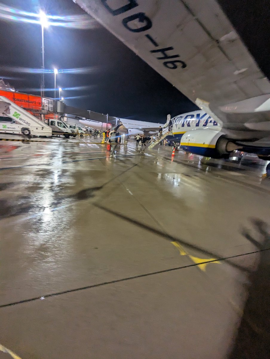 FisH🐟 tweet media