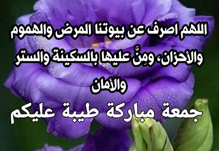 <a href="/hossamwahdan1/">hossamwahdan</a>