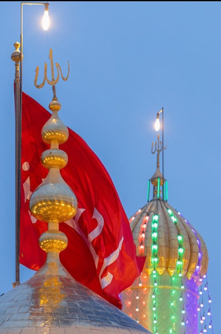 سیده زینب کاظمی tweet media
