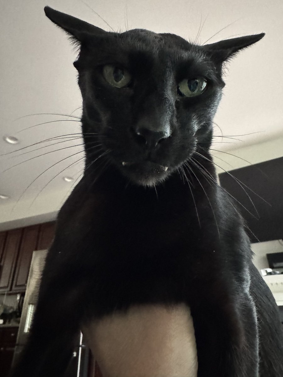 Hobbikats's tweet photo. Thank you for all the love you have shown Larry. It’s wonderful to see a community rally around him. https://t.co/y6R5nVx90c