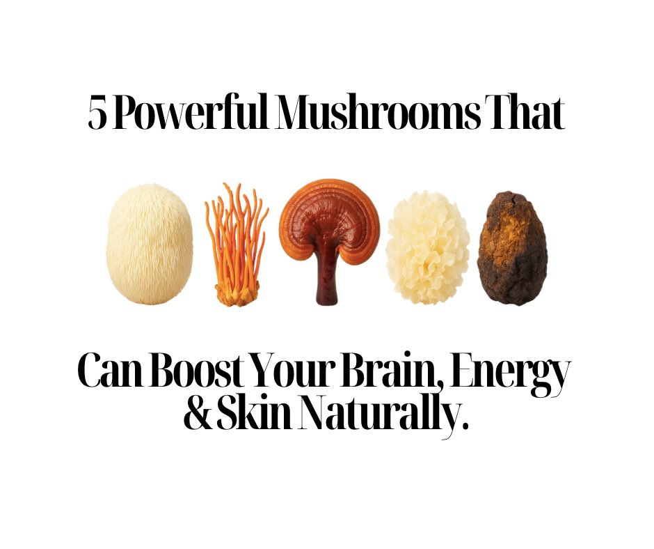 Joses_World's tweet image. 5 Powerful Mushrooms That Can Boost Your Brain, Energy &amp;amp; Skin Naturally 🍄 
basicwithlife.com/5-powerful-mus…

@LifestyleBlogzz @creatorzRT #BlogSpaceRT #GRLPOWR #lbloggers #blogger #blogginggals #blogging #blogpost #blog #thegirlgang #blogger