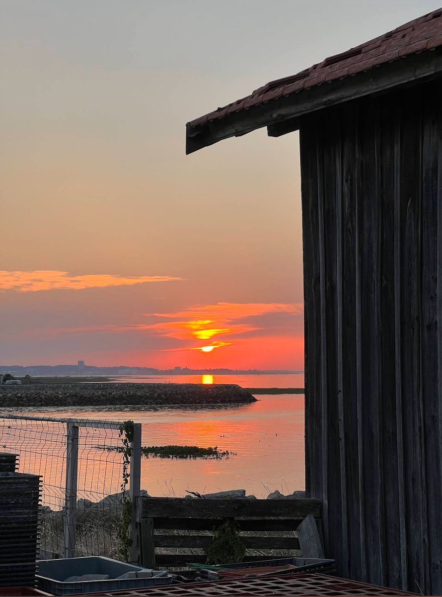 ⁦<a href="/BassinArcachon/">Bassin d'arcachon</a>⁩, retour le long de la jetée Thiers et les incontournables cabanes vers Gujan, la Hume … le bonheur 💙 !