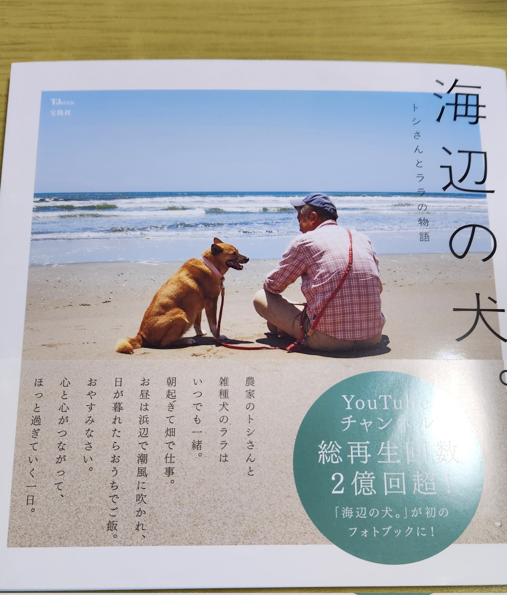 トシさんとララの物語 - Search / X