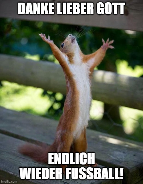 Die Sommerpause ist vorbei! 😍