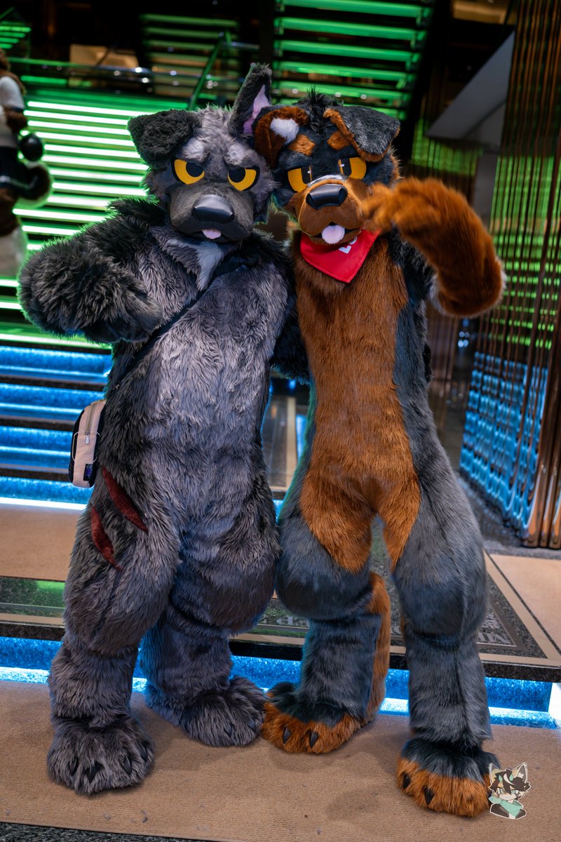 擠眉弄耳▼・ᴥ・▲ ▼・ᴥ・▼
#FursuitsFriday