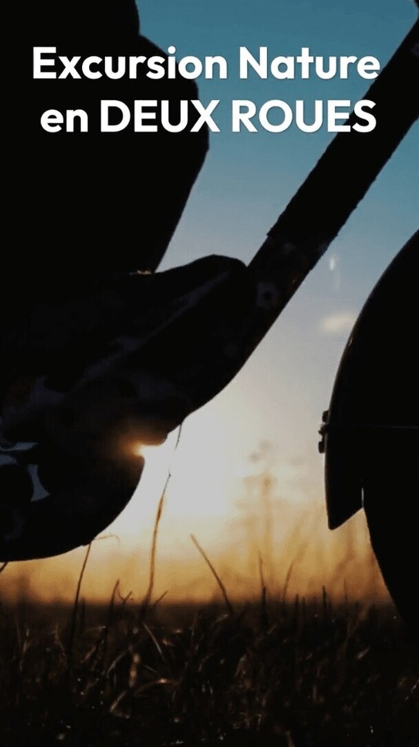 📆 Vendredi 9 août – Excursion nature en deux roues à Nouzonville
Ne ratez rien du programme : lien en bio

🌿 Un souffle d’aventure à deux roues dans les paysages ardennais !

Envie de liberté et de sentiers méconnus ? Enfourchez un VTT ou une trottinet… instagr.am/p/DMzkXMqMrH1/
