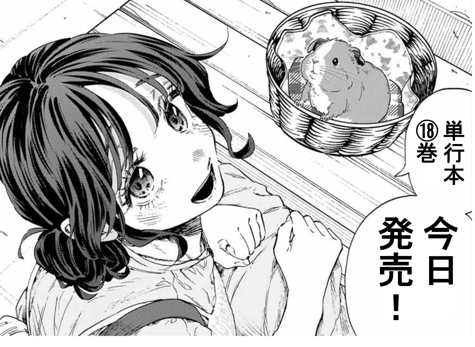 Bのハコ⚜️守屋菖蒲LOVE⚜️ (@yuyu33200915506) / X