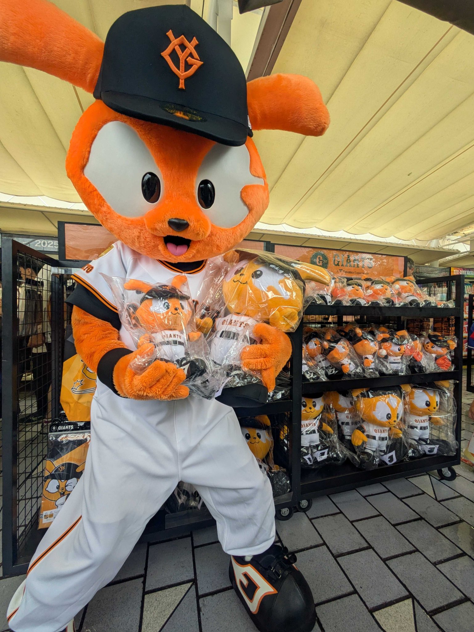 読売巨人軍（ジャイアンツ）グッズ情報 on X: 