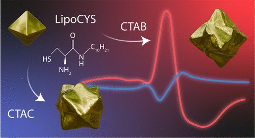 BioNanoPlasmonicsLab tweet media