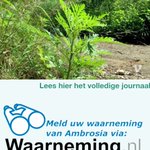 Photo by Pollennieuws (@Pollennieuws)