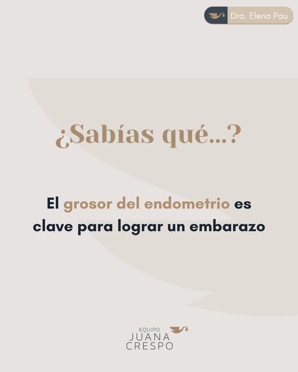 Disponible ya ! https://t.co/xHOY7psGVo y Amazon ❤️, image size:960x1200