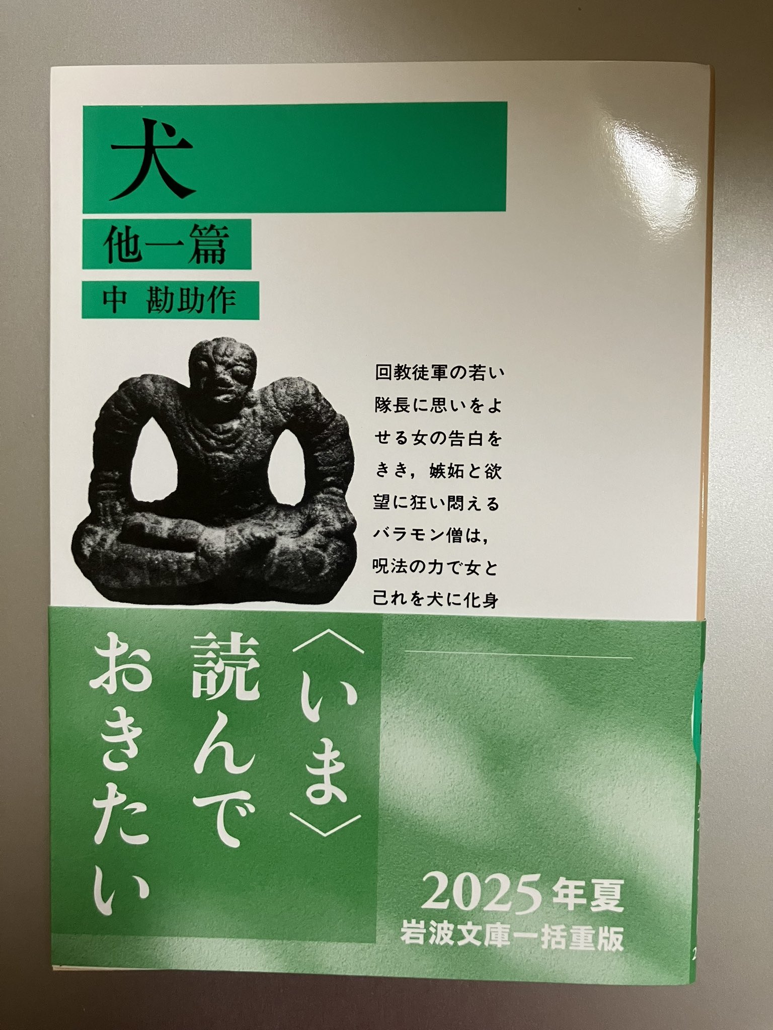 文学・小説 chippoke 文学・小説 chippoke pokako (@pokakopokako) / X