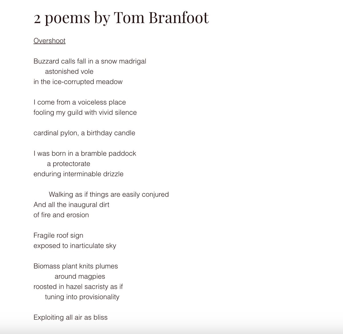 Tom Branfoot tweet media