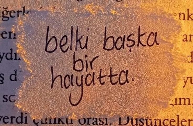Raskolnikov (@raskolnikovsair) on Twitter photo 
