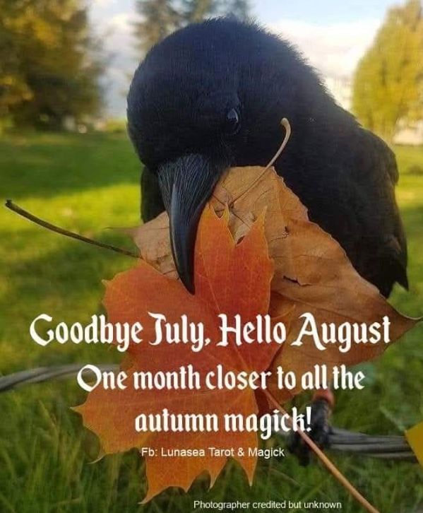 Good morning 
Welcome August
