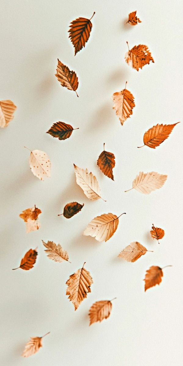 햇살미소 (@sunshinesmile97) on Twitter photo 