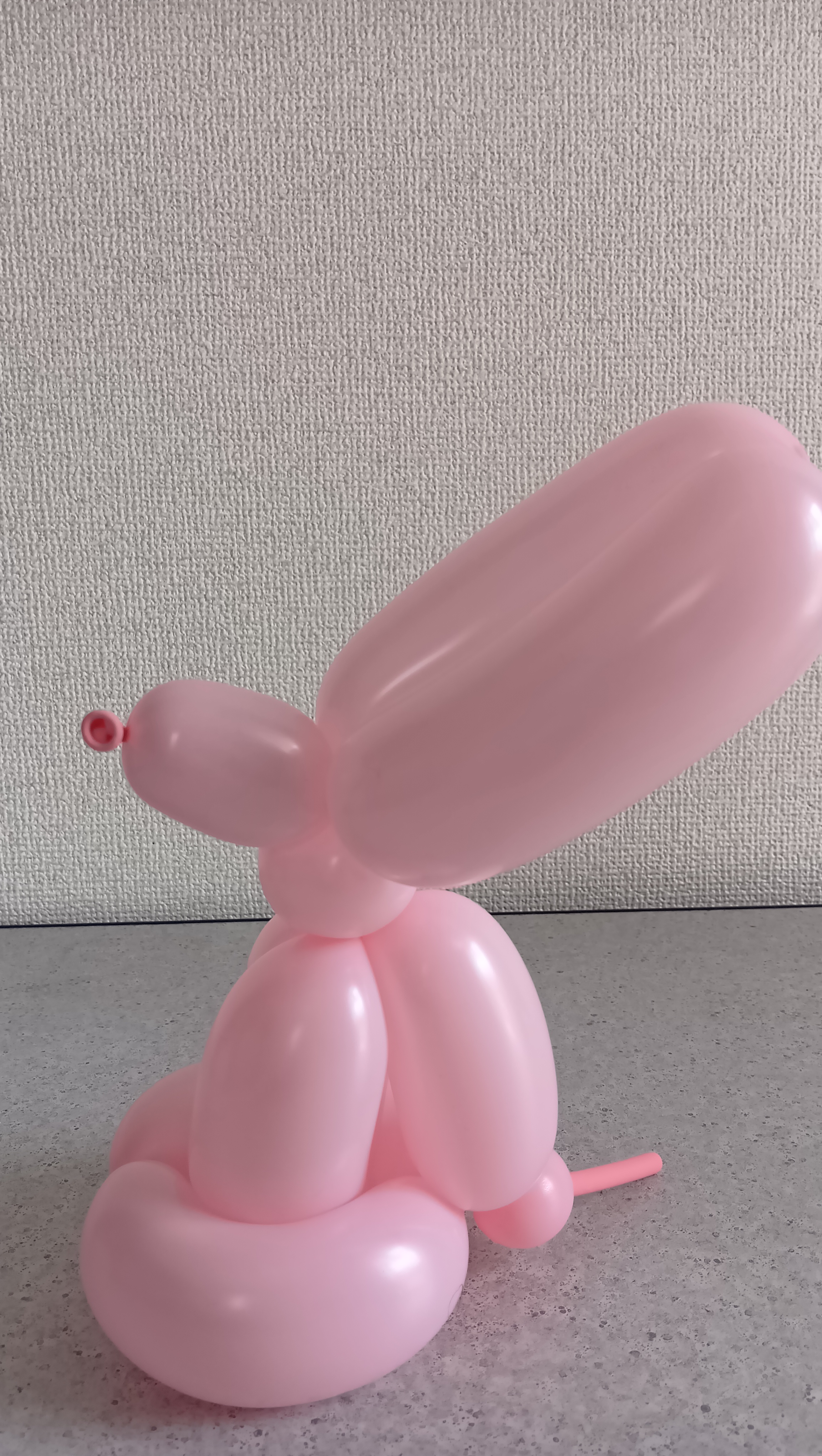 うさぎ クラウン☆つっちー on X: 