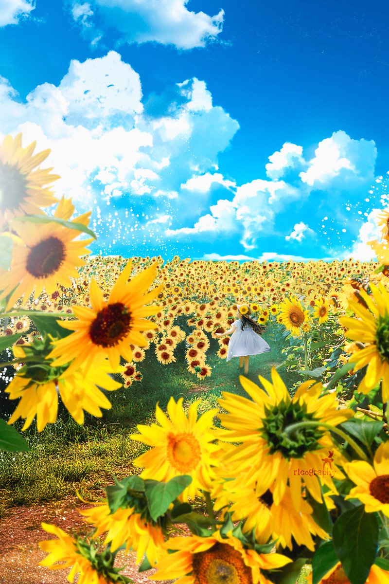 空は君のキャンバス