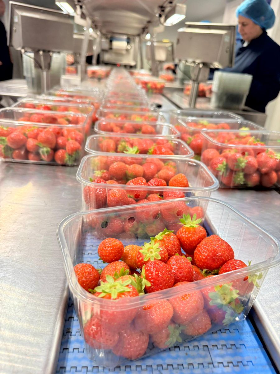 Vitafresh Produce tweet media