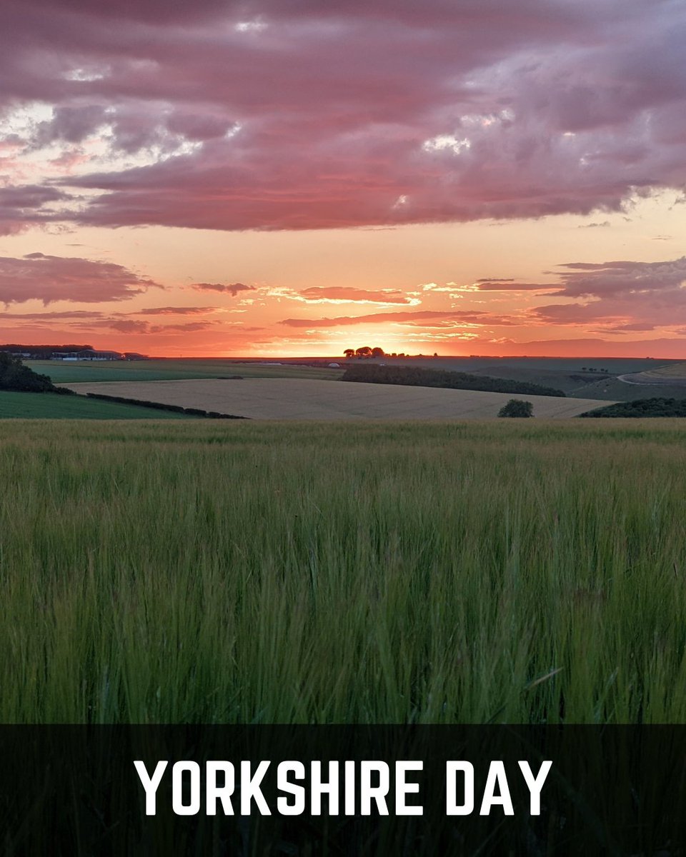 Happy Yorkshire Day from the Wolds! 🍻 From grain to glass, every pint we brew celebrates local ingredients, family values &amp; this stunning land. Whether you’re walking the Wolds or sipping a pint, raise a glass to God’s Own County. Cheers! 🍺 #YorkshireDay #WoldTopBrewery