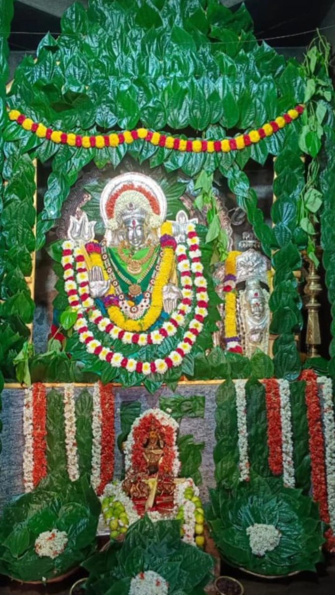 🌿ಇಂದಿನ ಶ್ರೀ ಮಂಚಾಲಮ್ಮ ಅಮ್ಮನವರ ದರ್ಶನ 🌿