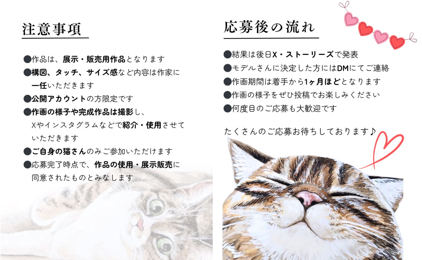 黒猫Jack(プロフ必読) 0527 ねこ«プロフ必読»様専用 黒猫Jack(
