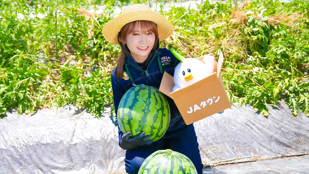 番組情報 #ゆるふわたいむ / #秋元真夏 さんが山形県へ✨ 夏すいか日本