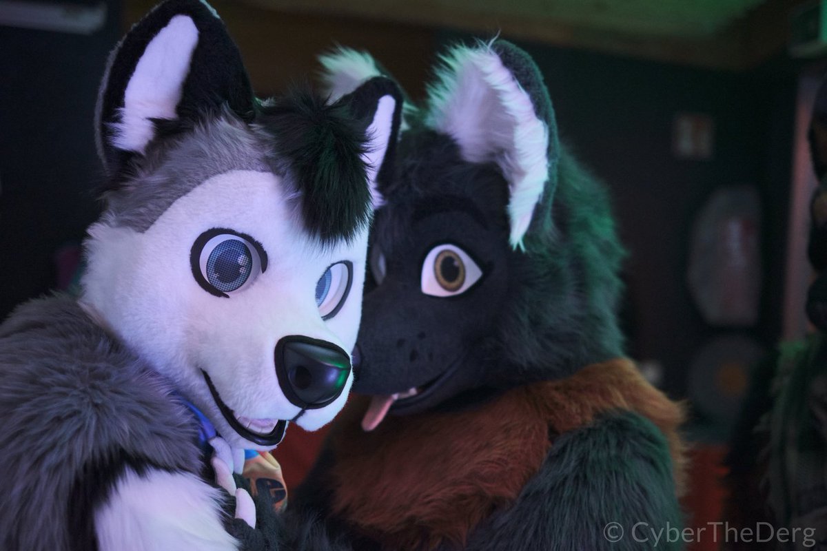 What are you looking at?
Never seen a husky and a chaoswolf together?

🧵 <a href="/SchneeCreations/">SchneepardiCreations 🔜 EF</a> | <a href="/whitewingsuits/">Whitewing Creations</a> 
🐶 <a href="/SkeppoBalloon/">SkeppoBalloon 🎈🐾</a> 
📸 <a href="/CyberTheDerg/">Cyber</a> 
📍Südstaaten Furdance Vol. 8

My Chaos NEWS - Channel:
t.me/chaoswoelfin_o…

#furry #furryfandom #FursuitEveryday #FursuitFriday