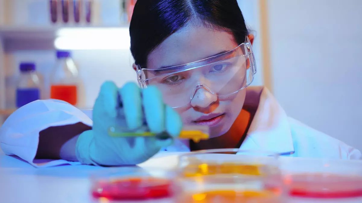 🎓 El Grado en Ciencia y Tecnología de los Alimentos de la <a href="/uclm_es/">Universidad de Castilla-La Mancha</a> recibe el sello EQAS-Food, que certifica su excelencia y conexión con el sector alimentario.

ℹ️ eldiario.es/castilla-la-ma… 

#gastronomía #hostelería #Turismo #Innovación #tech