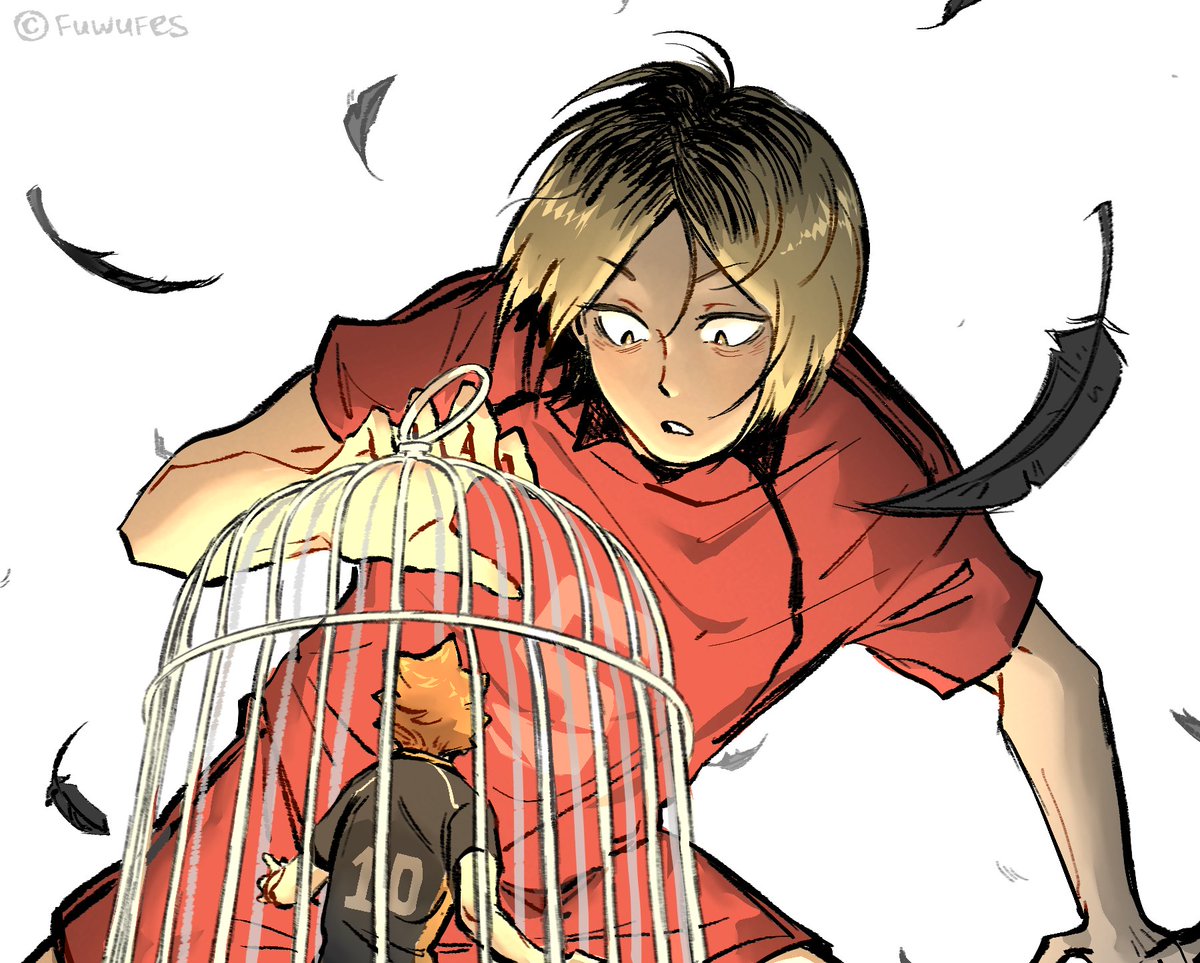 a bird in a cage🔪🐈

#haikyuu #kenmakozume #hinatashoyo