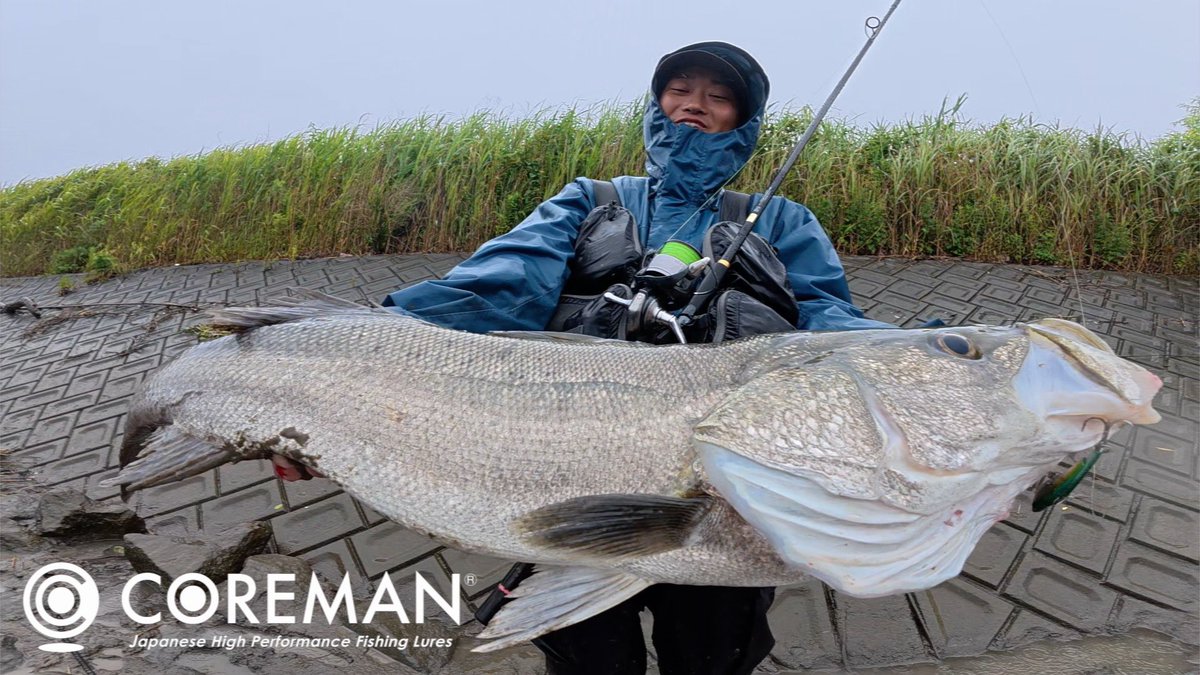 【シリーズ最強波動】コアマン IP-35HL！ボトムに潜むランカーシーバスを狙い撃ち！！をアップしました。
ご視聴はこちらから💁
youtu.be/-xGKZubefew?si…
#コアマン #シーバス #PR