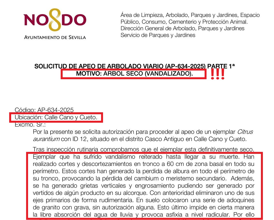 Envenenan la tierra del #Alcorque.
Le ponen #Adoquines y grava.
Le cercenan uno de sus ejes primarios.
Le hacen cortes y descortezan su #Tronco...
Así actúa la #Hostelería en #Sevilla:
Torturan y aniquilan #Árboles para poner sus #Veladores y sus bosques de #Sombrillas y #Toldos.