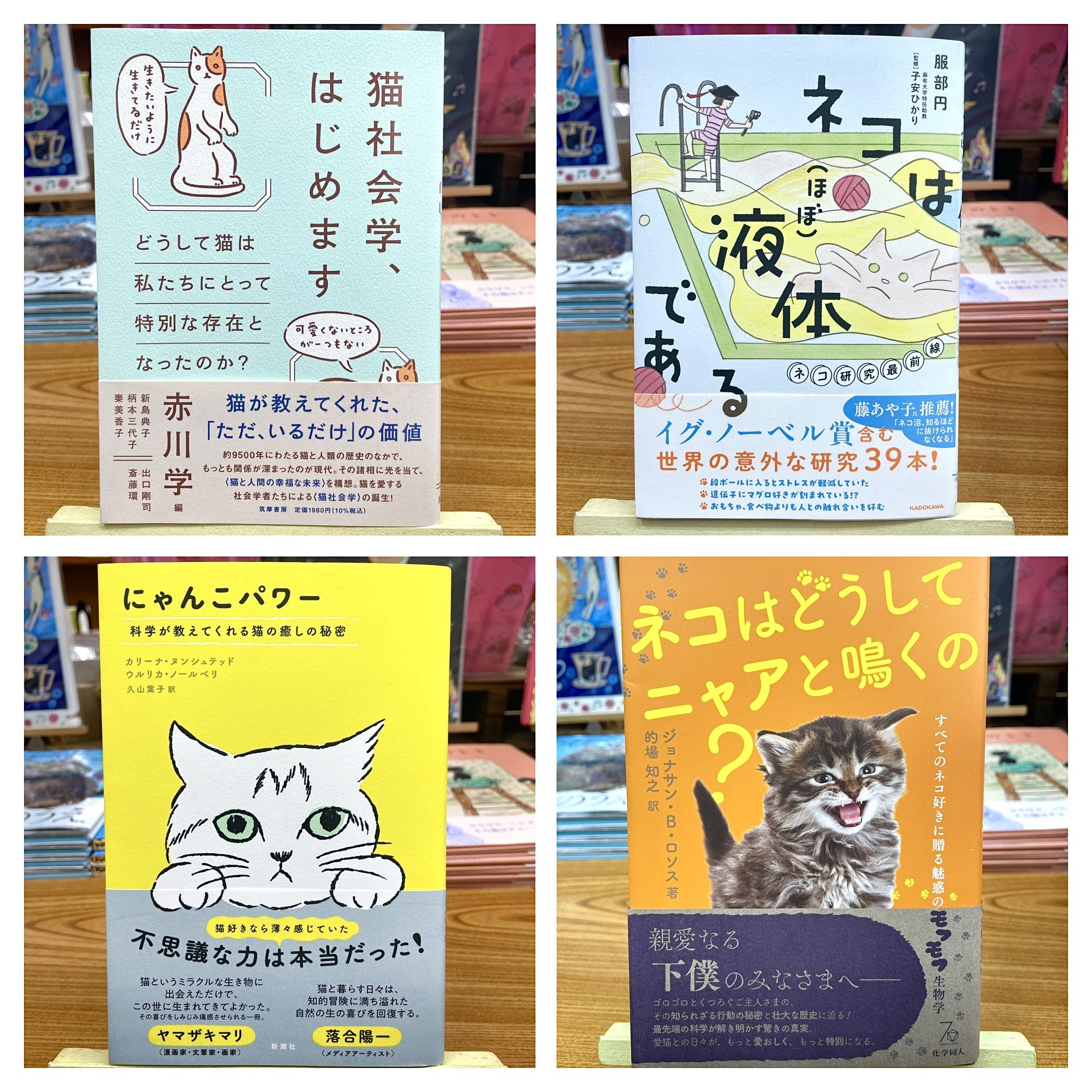 ネコと和解せよ Amazon | ネコと和解せよ 猫 黒 猫おもしろ Tシャツ | Tシャツ