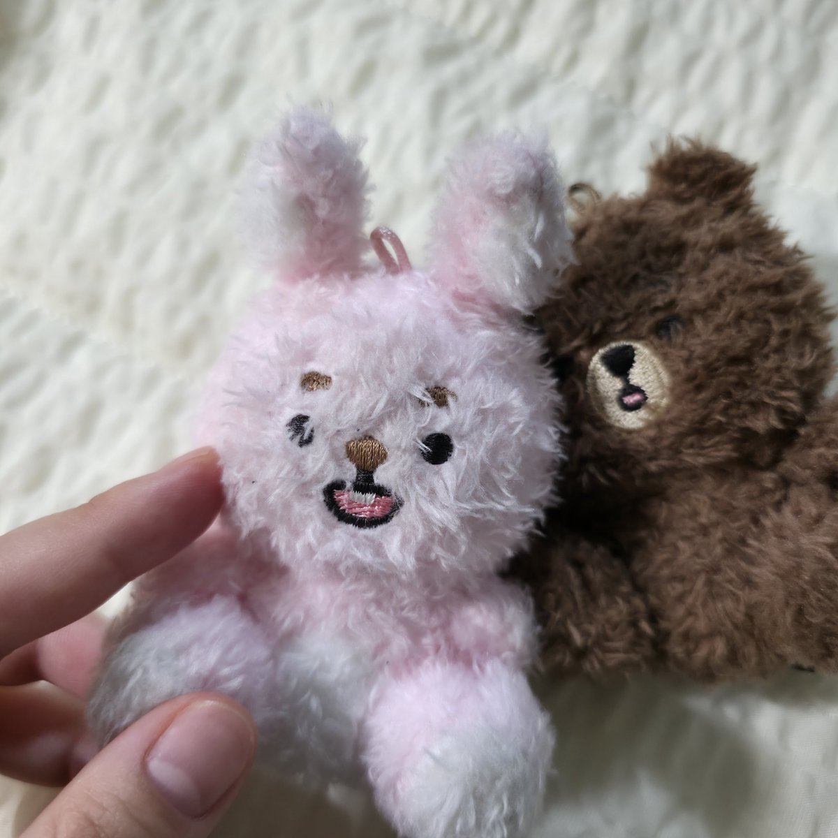 ㅁㅊ 앉은 애들 모자 새로 씌워주려고 벗겼는데 필끼야... 레전드 떼꼬장얼굴... 미안;; 일단 세수부터 좀 하자