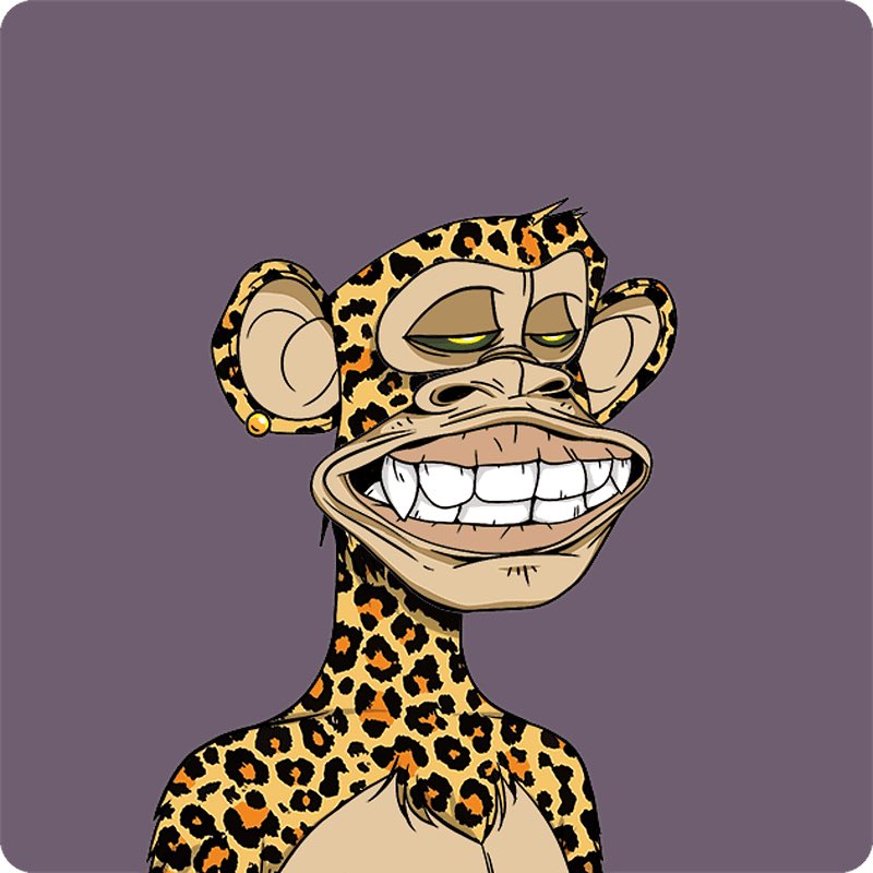 Those monke JPEGS
<a href="/BoredApeYC/">Bored Ape Yacht Club 🍌</a>