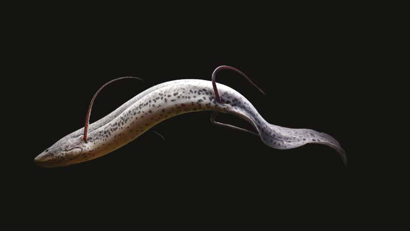 Swara Magazine tweet media