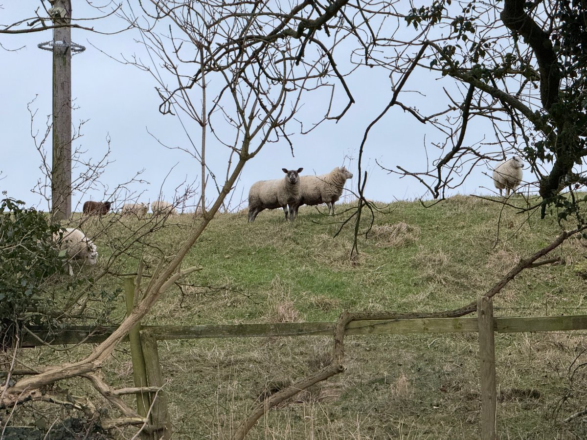 Happy Yorkshire Day to everyone.