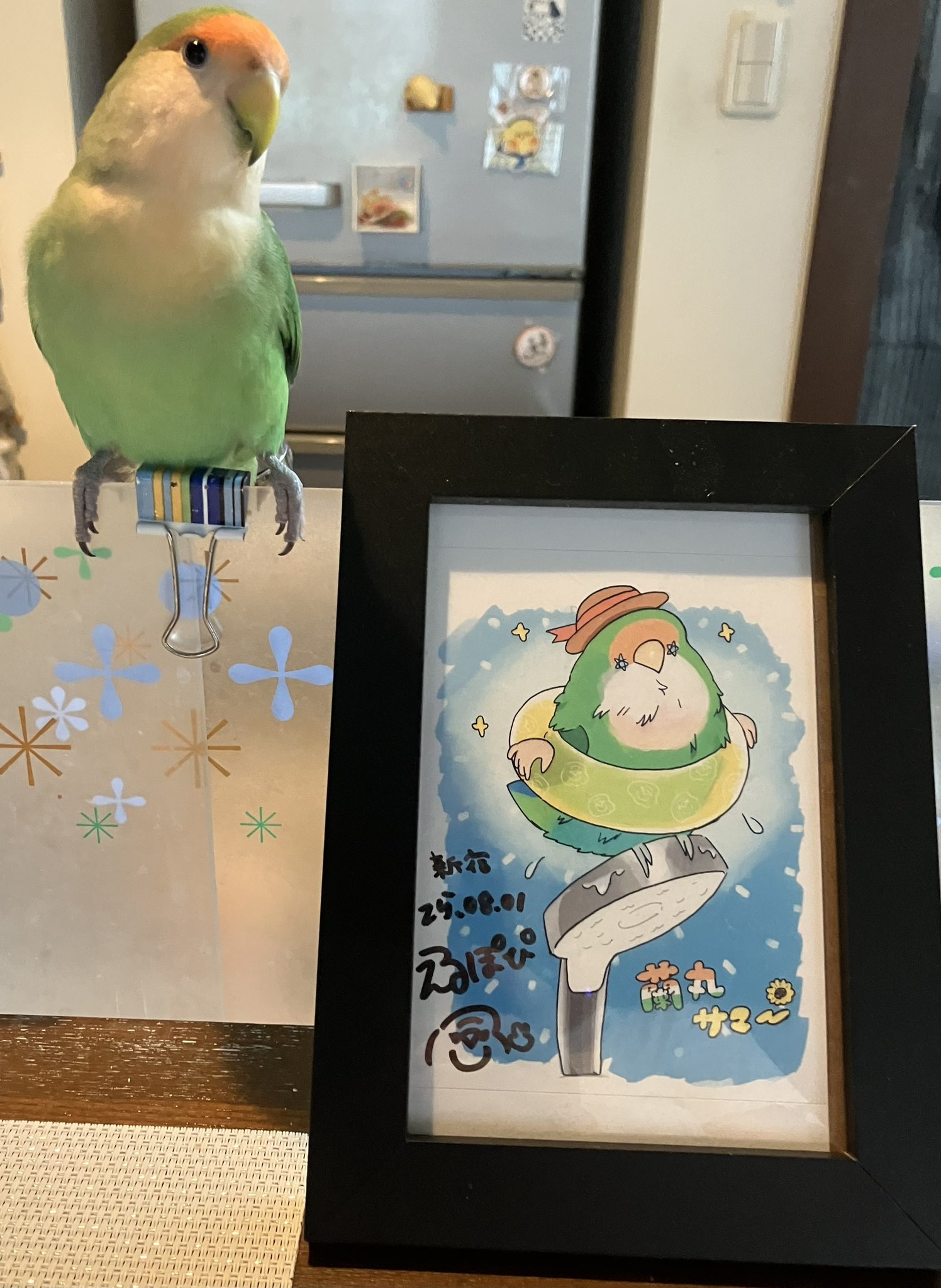 ぽんぽん＊sale(⁠ ⁠ꈍ⁠ᴗ⁠ꈍ⁠)様 𝐦𝐲 𝐜𝐥𝐨𝐯𝐞𝐫. on X: 