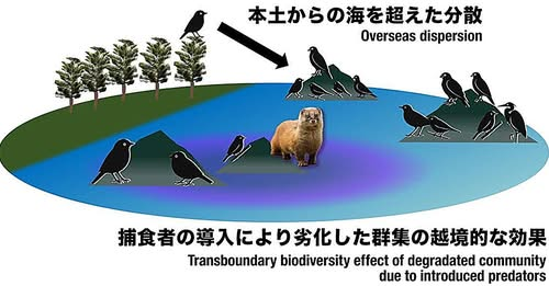 Biodiversity and Green Foundation tweet media