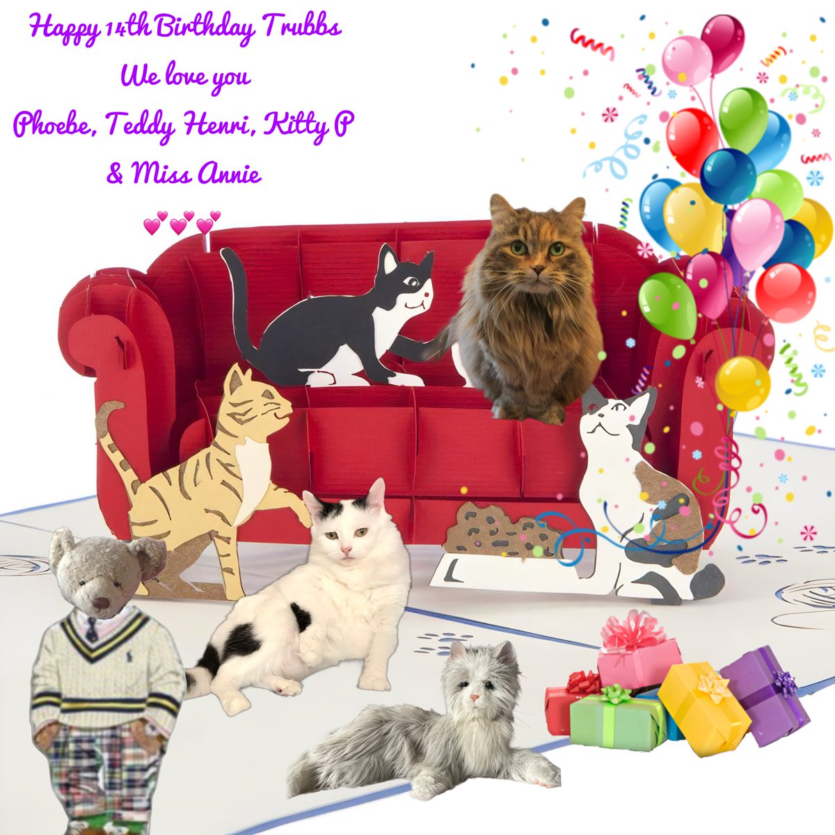 Today is bambam’s sisfur Trubbs 14th Birthday. We love her very much. 💕✨🎂🎊🎈✨💕 <a href="/bambamellis/">bambam 🇨🇦</a> 
~ Phoebe, Teddy Henri, Kitty P &amp; Miss Annie #Hedgewatch