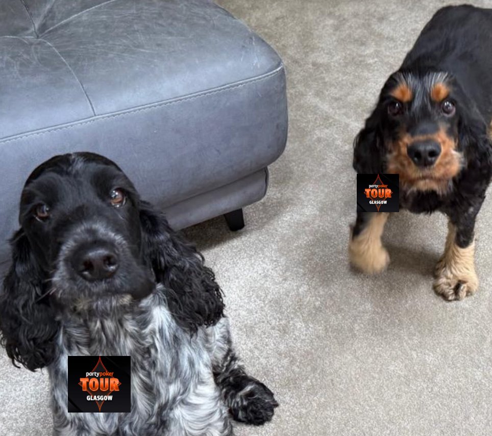 Barry Carter tweet media