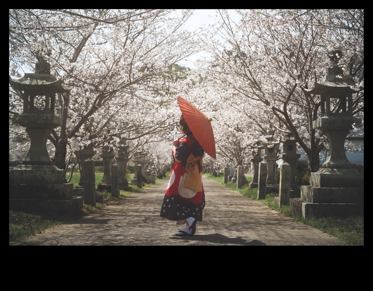 大明神 tweet media
