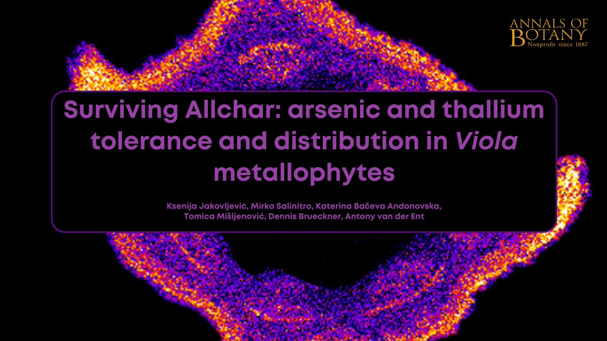 🌿Check the newly published article ‘Surviving Allchar: arsenic and thallium tolerance and distribution in Viola metallophytes’ in <a href="/annbot/">Annals of Botany</a> by Ksenija Jakovljević and co-authors 🧵(1/7)

👉 doi.org/pzjd

#PlantScience #Metallophytes #Phytoremediation  #AoBpapers