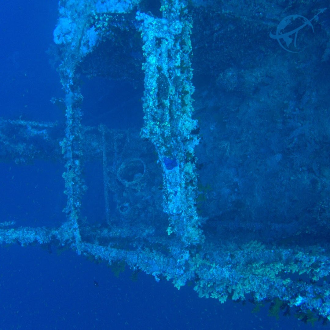 divewisely's tweet image. Wreck diving always feels like time travel. 🤿✨

This sunken giant, now home to coral and fish, tells stories without words. Each pass by a window or corridor sparks the imagination: what was, what is, what thrives now. 🌊🛳️ #WreckDive #ScubaAdventure #RedSea #ScubaDiving